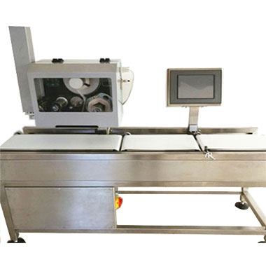 稱重打印貼標一體機