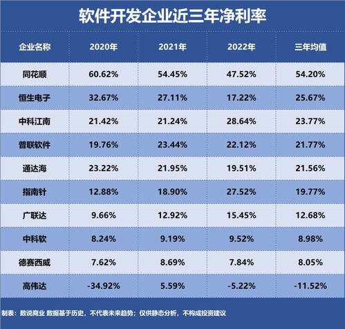 軟件開發行業中誰是最盈利的企業？